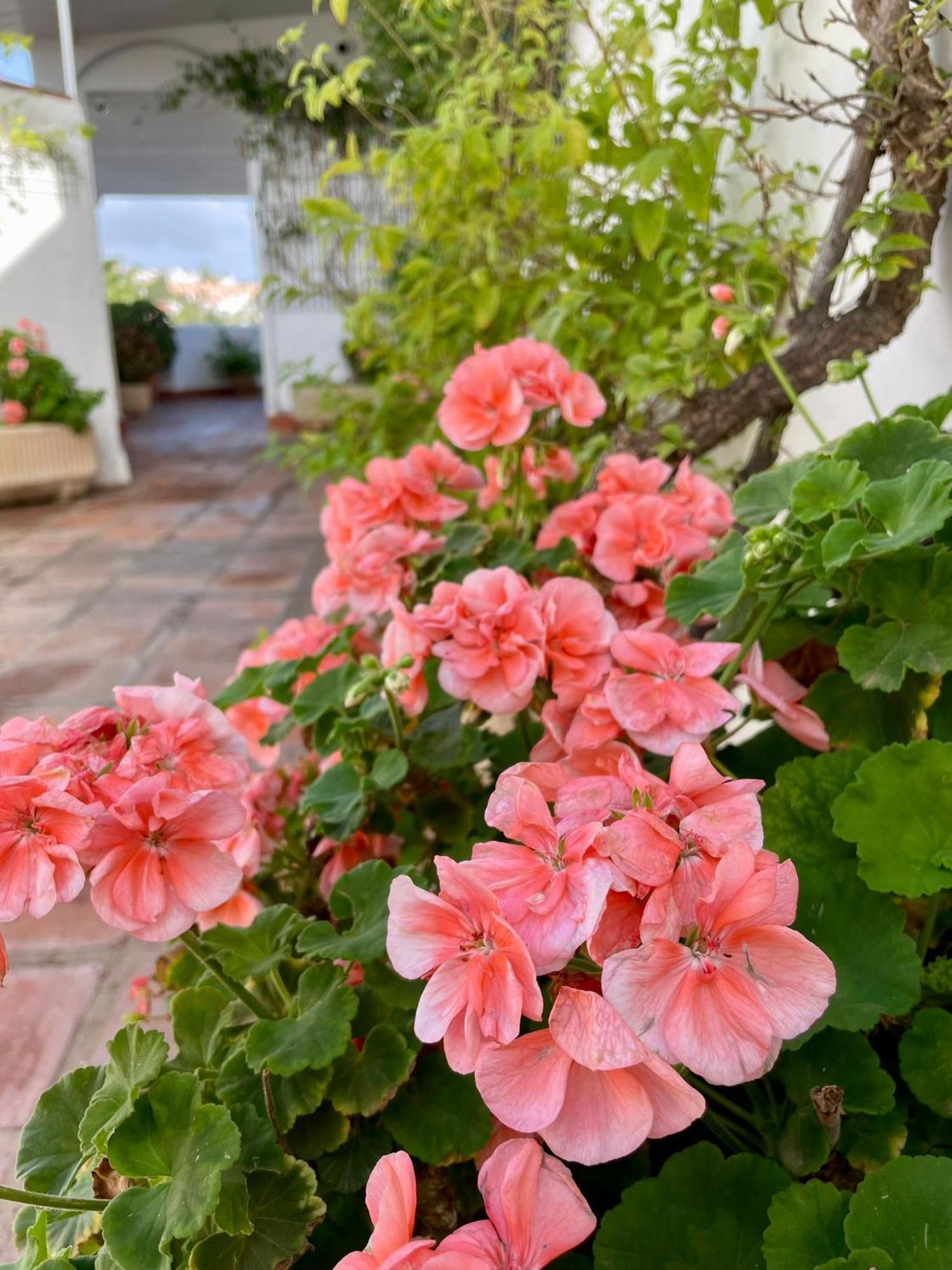 Sun Castle Lägenhet Fuengirola Exteriör bild