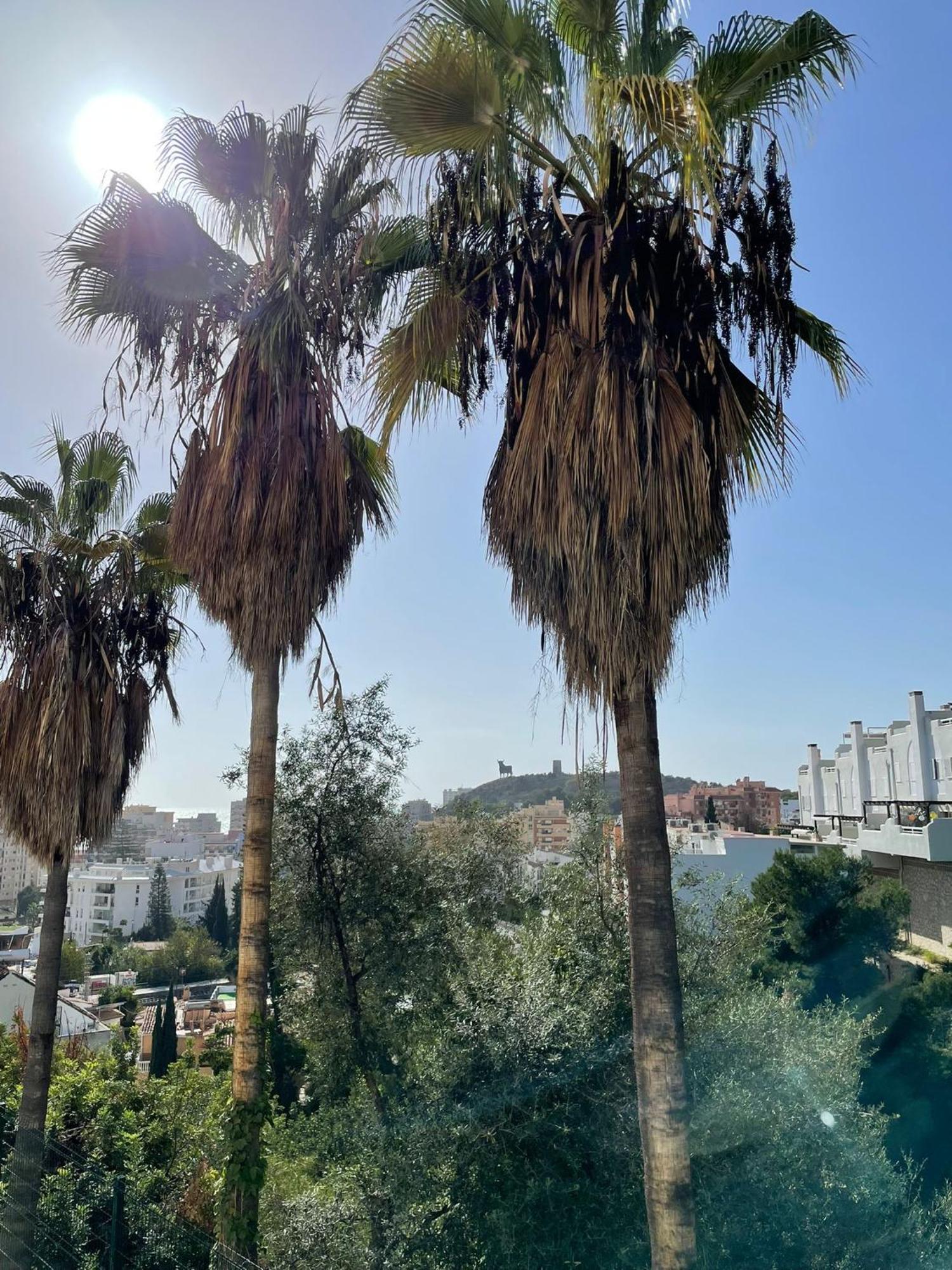 Sun Castle Lägenhet Fuengirola Exteriör bild