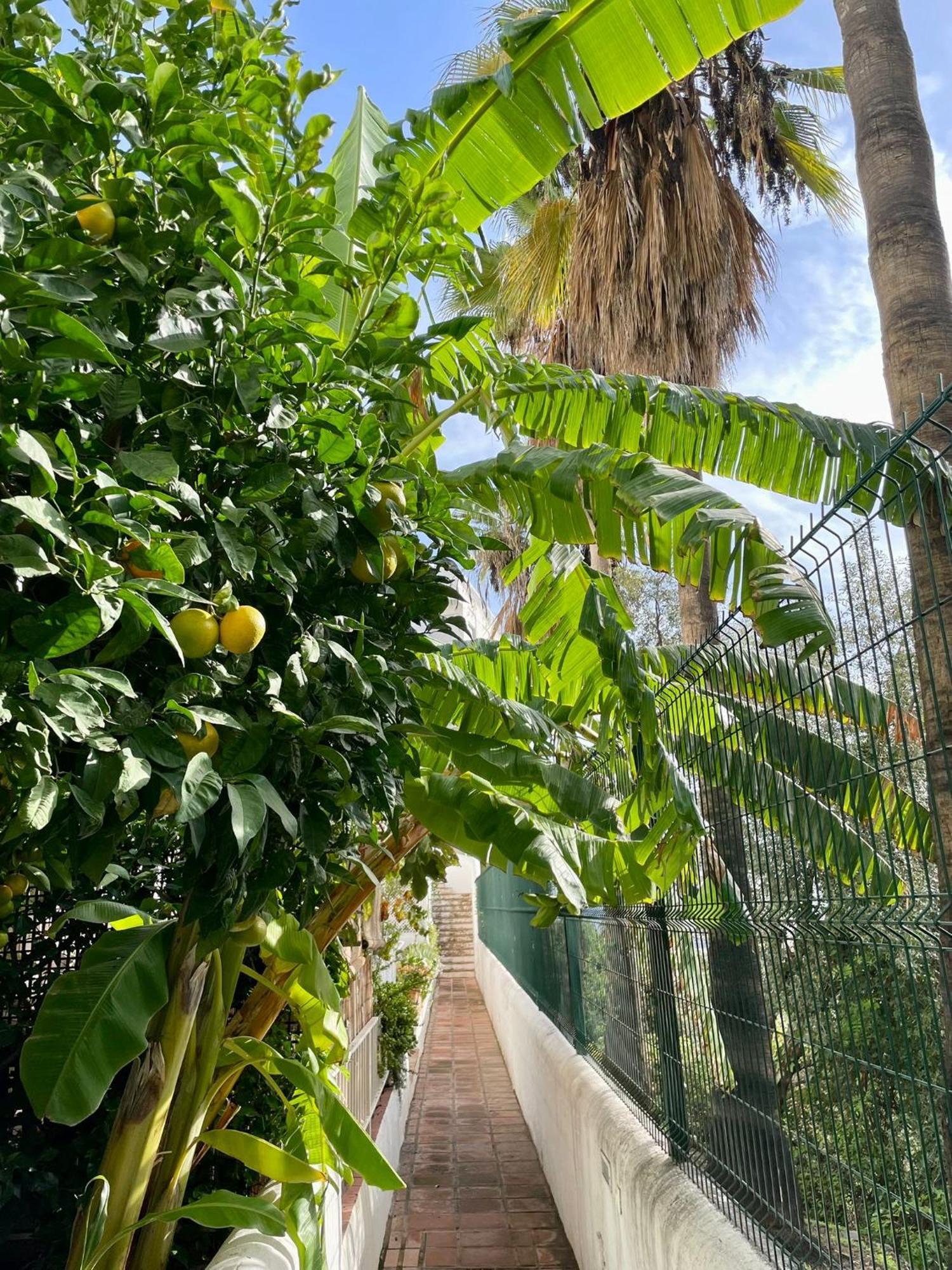 Sun Castle Lägenhet Fuengirola Exteriör bild